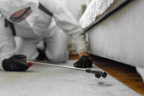 Professional Termite Control technician working in Monona, WI