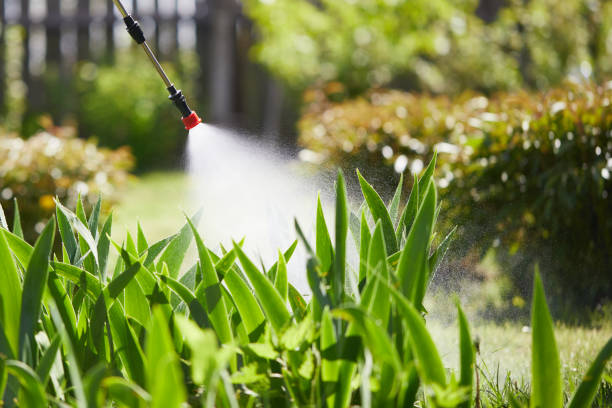 24/7 Emergency Termite Control experts in Monona, WI